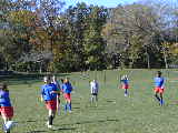 Click to see PA280179.JPG